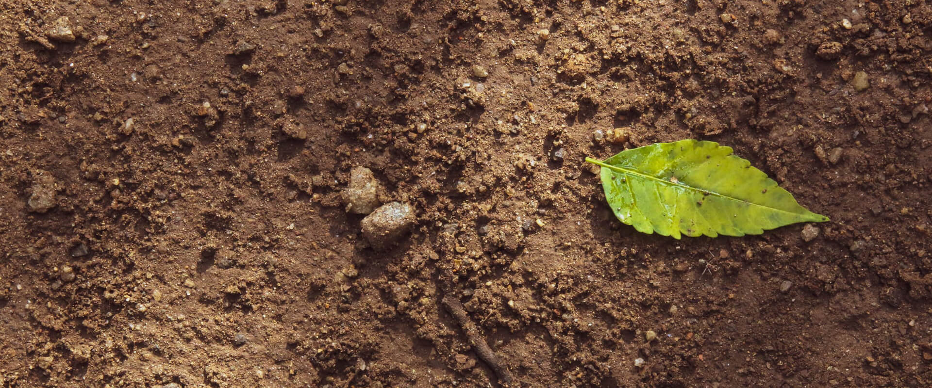 单四极杆气相色谱质谱联用仪-安益谱7700单四极杆气相色谱质