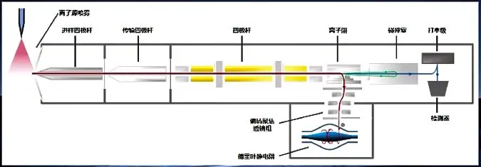 安益谱 | 国内首台四极杆-傅里叶静电阱液质高分辨联用仪问世！(图5)